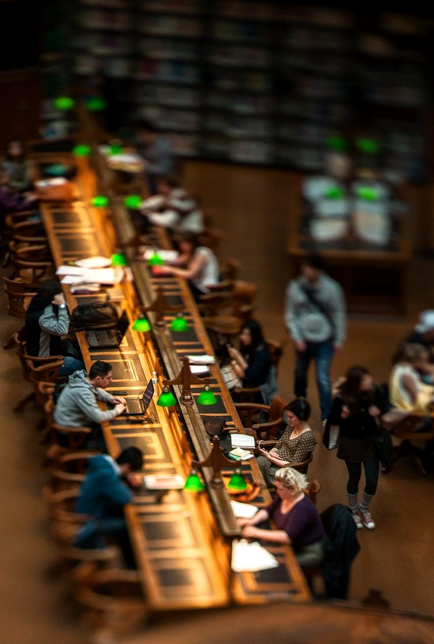 Researcher reviewing market reports in a library setting
